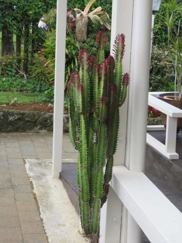 18 South View Place Kaikohe_8