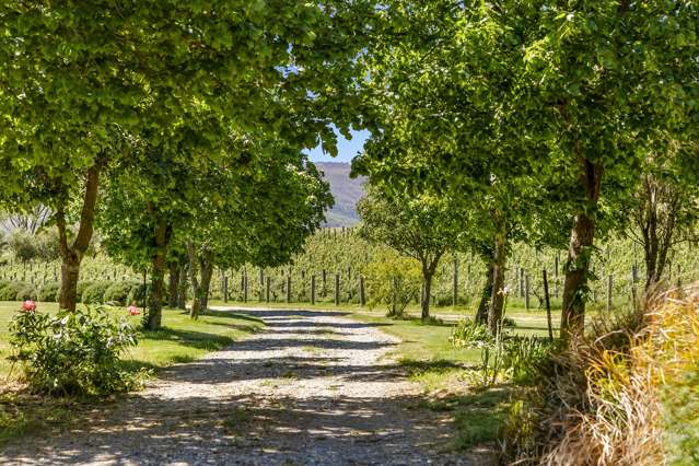 6 Thomson Gorge Road Tarras_4