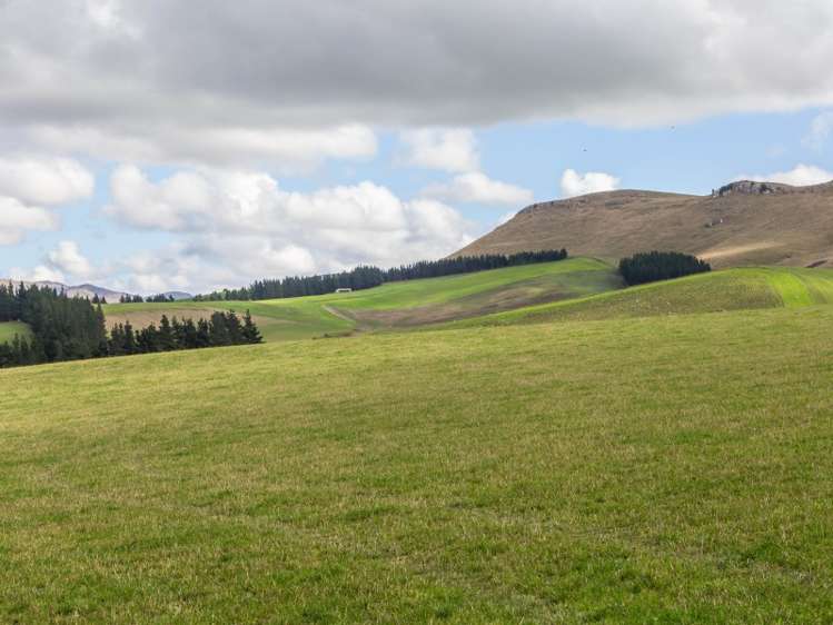 94 Weka Pass Road Waipara_5