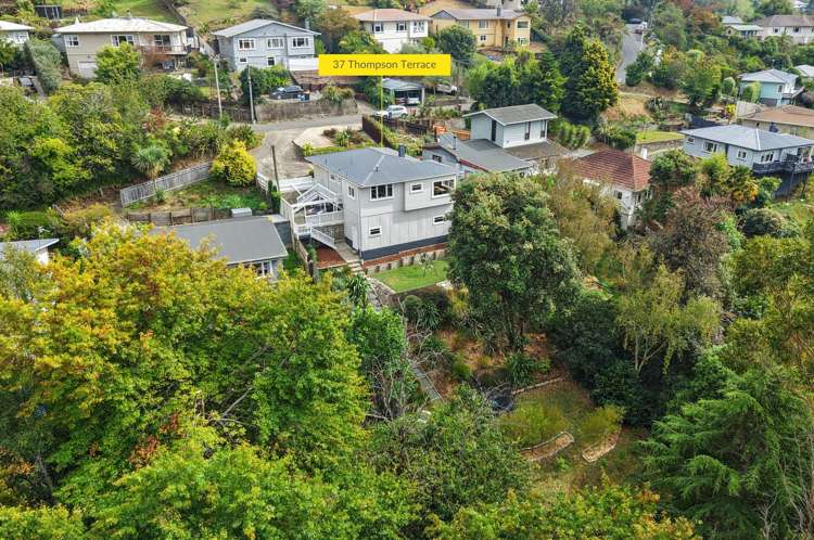 37 Thompson Terrace Toi Toi_18