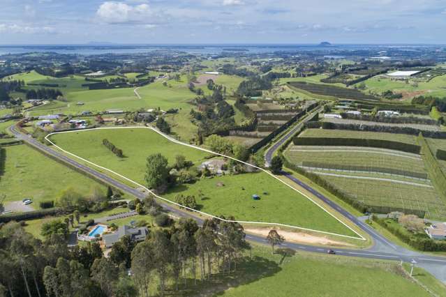 270 Ross Road Whakamarama_1