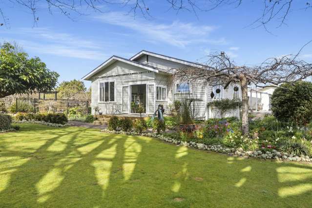 5 Huse Lane Te Puke_1