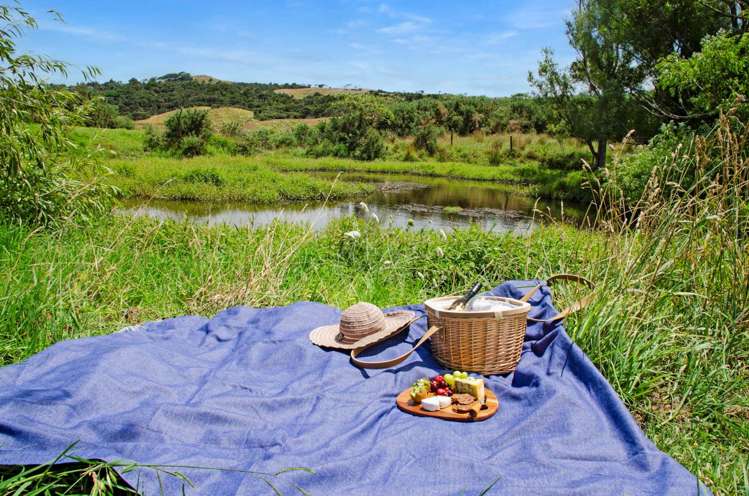 75A Rangiora Road Kaiwaka_22