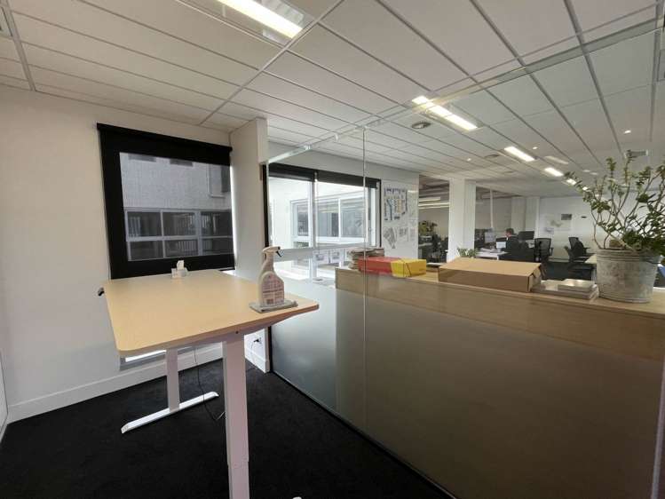 7 Falcon Street Parnell_7