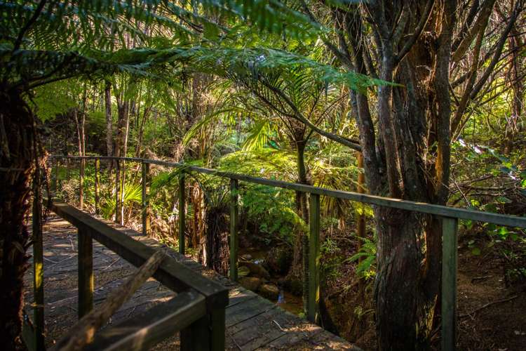 198 Cames Road Mangawhai_5