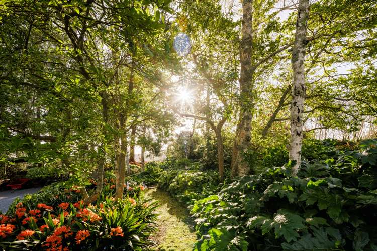 1829b Tirau Road Karapiro_25