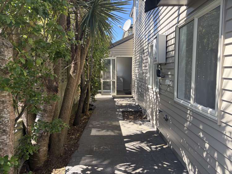 10 Trafalgar Street Johnsonville_11