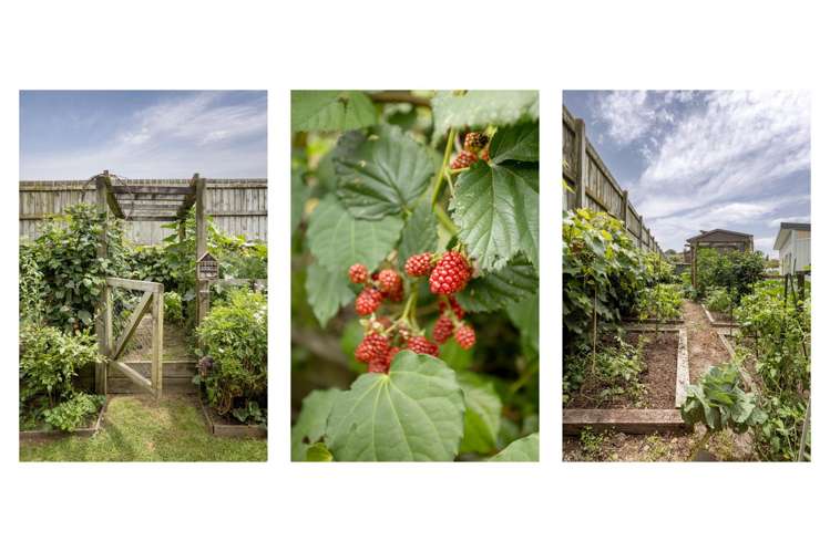 20 Emmerdale Place Ohauiti_29