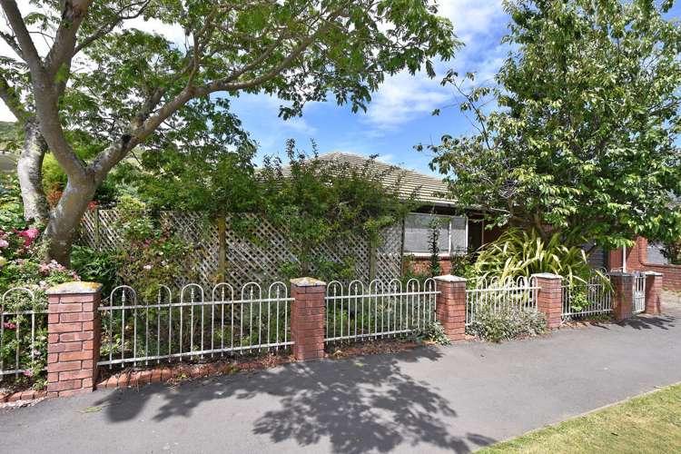 25 Tasman Street The Wood_0