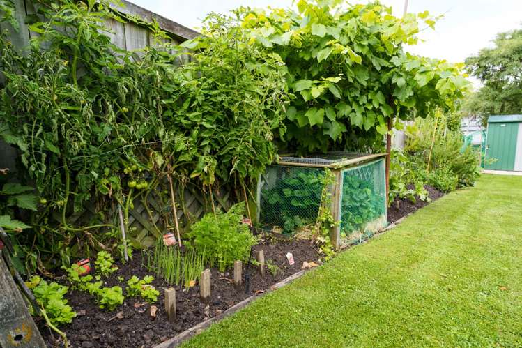 10 Alexander Street Abbotsford_24