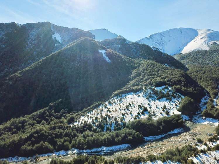 101 Mount Lyford Forest Drive Lyford_1