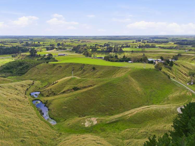 100 Heights Road Shannon_32