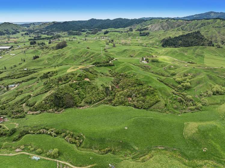 1794 State Highway 2 East Nukuhou_5