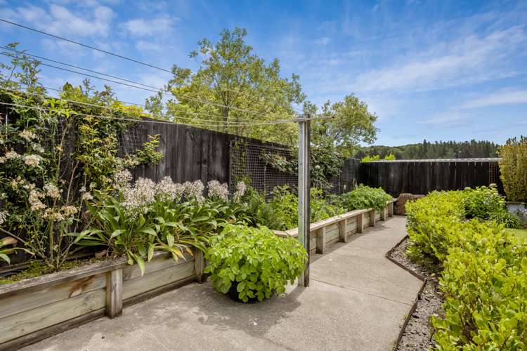 8 Tui Drive Picton_18