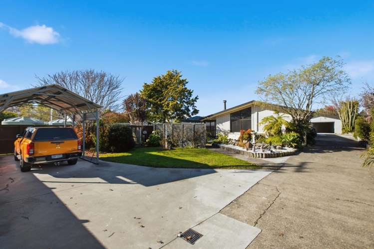 20 Arawa Road_0