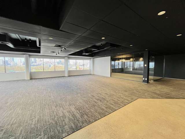 9A Hargreaves Street Freemans Bay_4