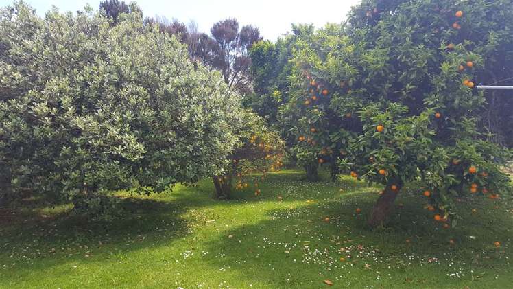 16 Waihou Road Te Aroha_12