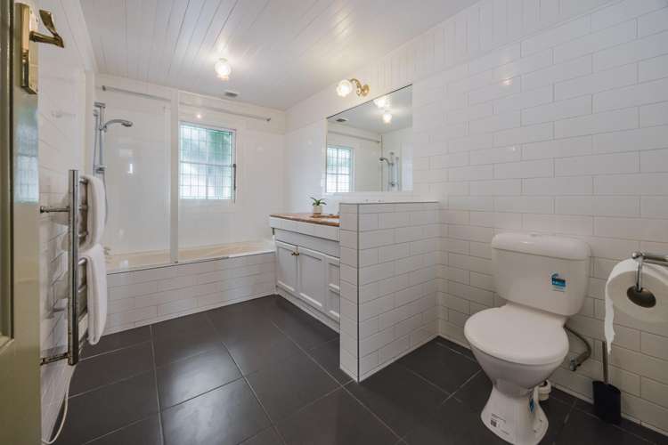 17 Blockhouse Bay Road Avondale_10