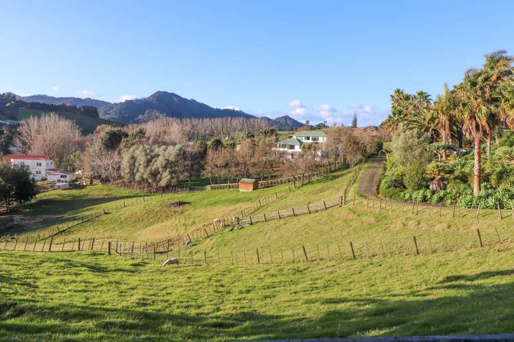 24b Sawmill Road Thames_8