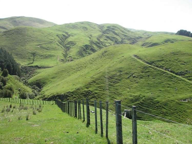 1072 Mangatuna Road Rangitikei Surrounds_11