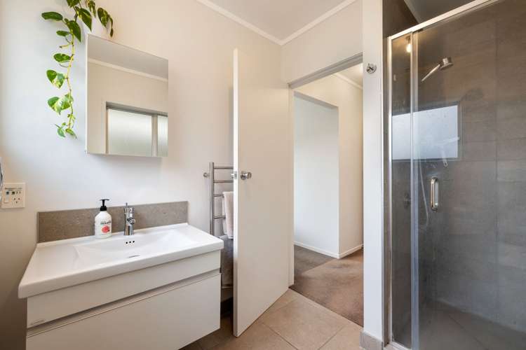 8 Malcolm Street Riverlea_15