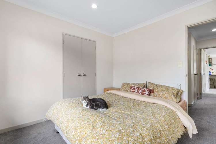 22 Cartmel Avenue Massey_22