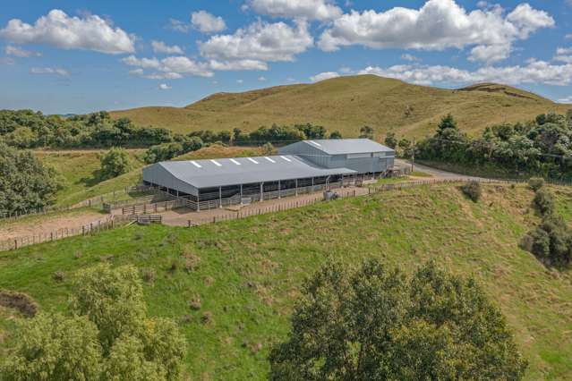 2614 Ridge Road Pohangina_1