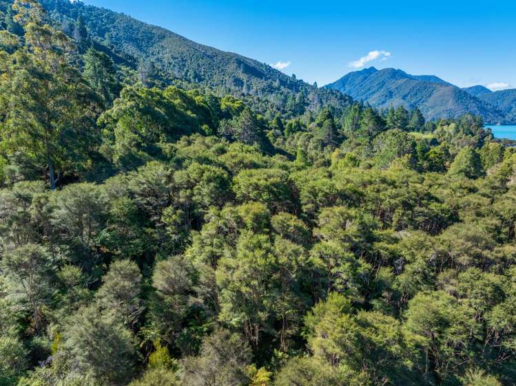Lots 3 4 5 Nydia Bay Marlborough Sounds_26