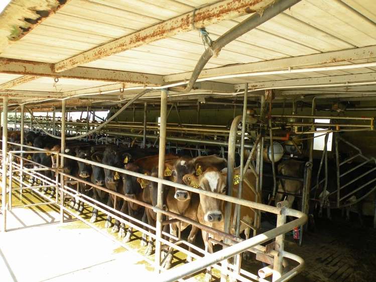 432 Flag Swamp Road Flag Swamp_13