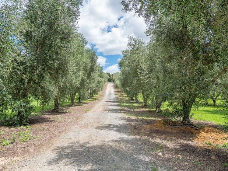 90c Leccino Valley Road Mangonui_40