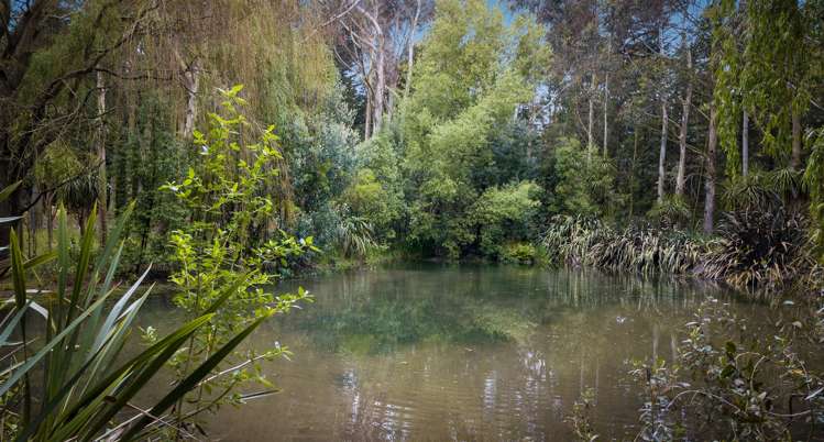 1837 West Coast Road Kirwee_28