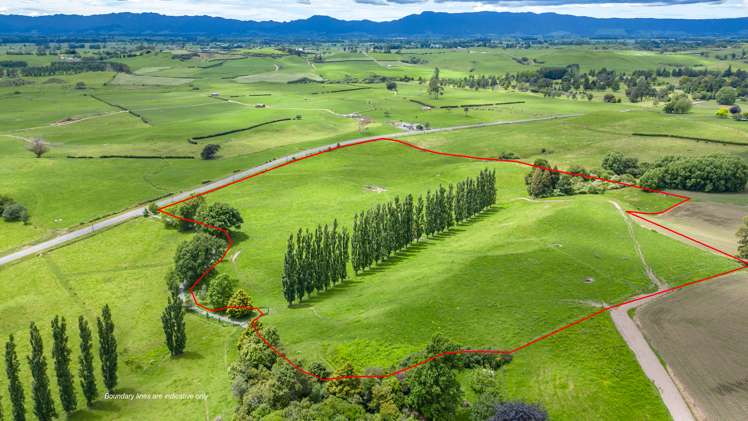 1768 Morrinsville Walton Road_4