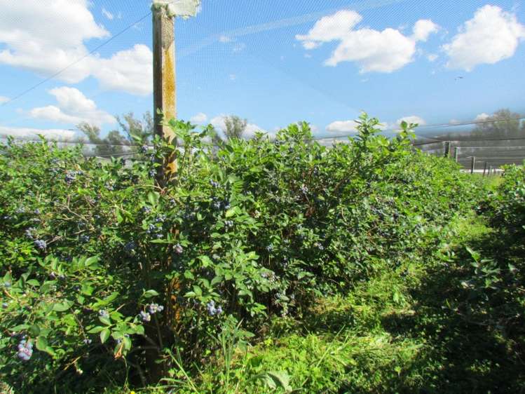 108 Te Rahu Road Whakatane_18