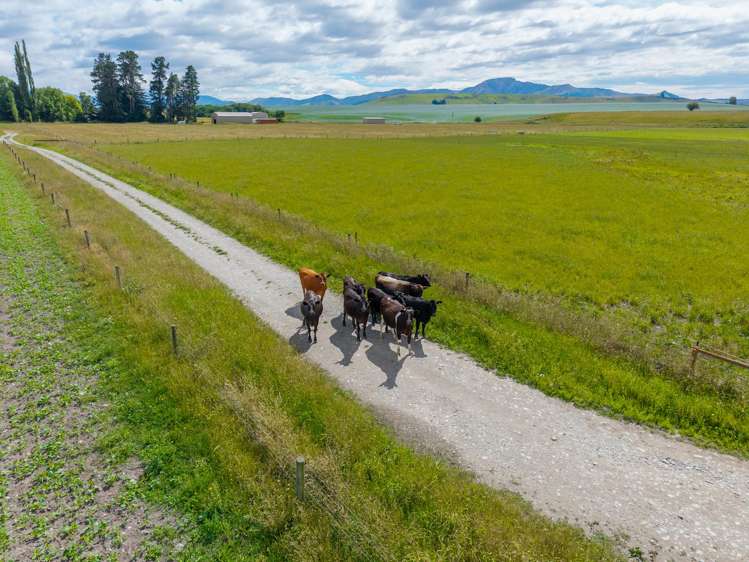 311 Hamilton Road Fairlie_25