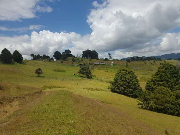 160 Otuhi Road Mangapai and Surrounds_22