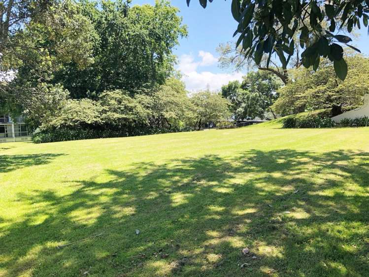 2/148 Howe Street Freemans Bay_7