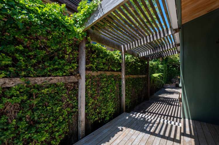 9 Solly Place Springfield_12