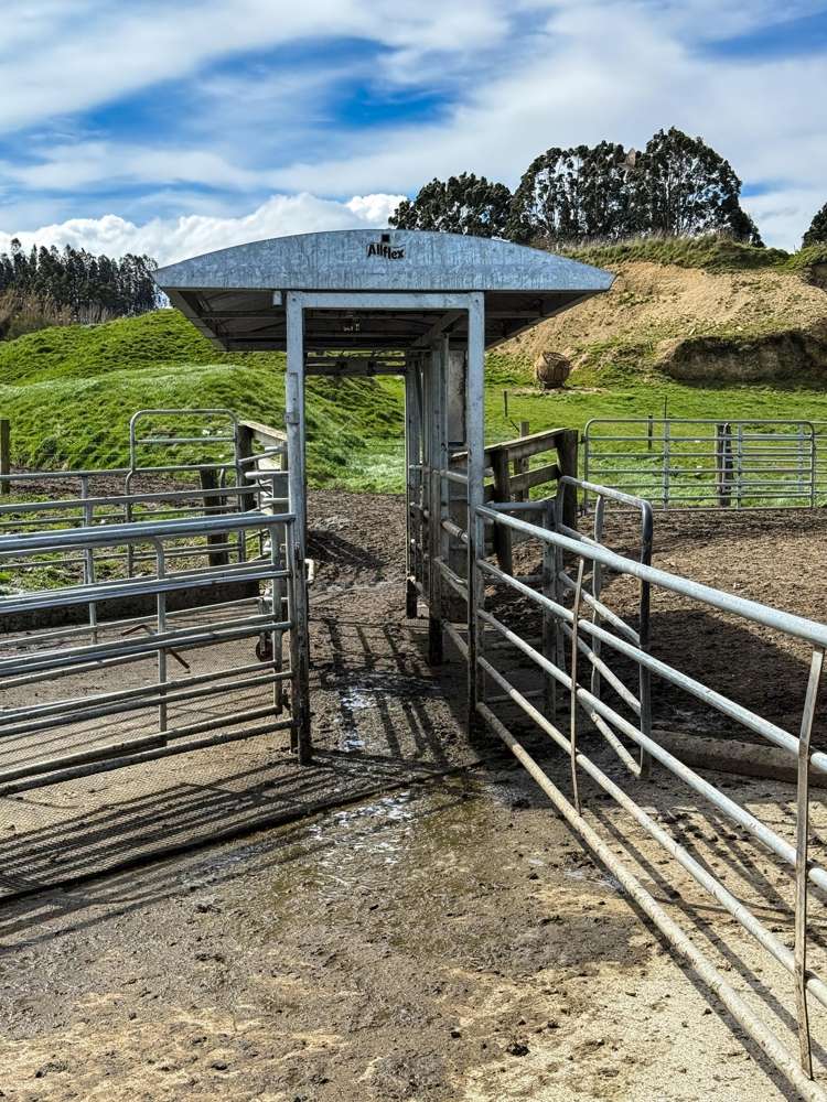 316 McDonald Road Pukerau_14