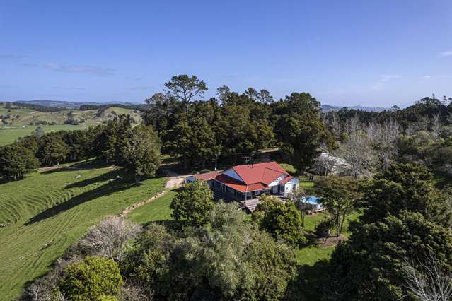 65 Henry Lane Hikurangi Rd1_4