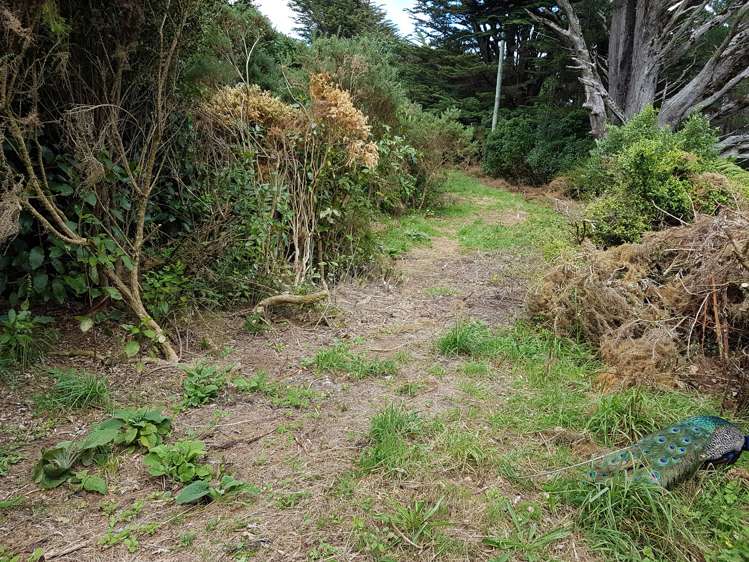 308 Normandale Road Normandale_8