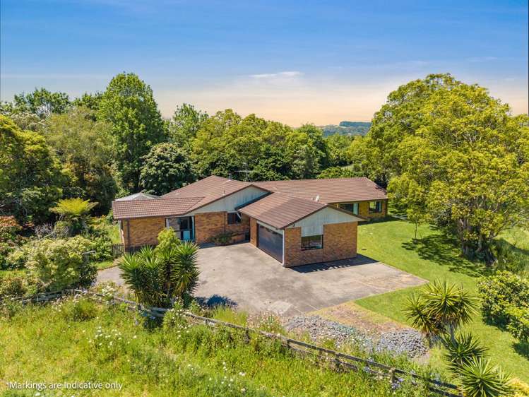 215 Waihoehoe Road_0