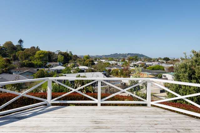 134 Ballance Street Whataupoko_3
