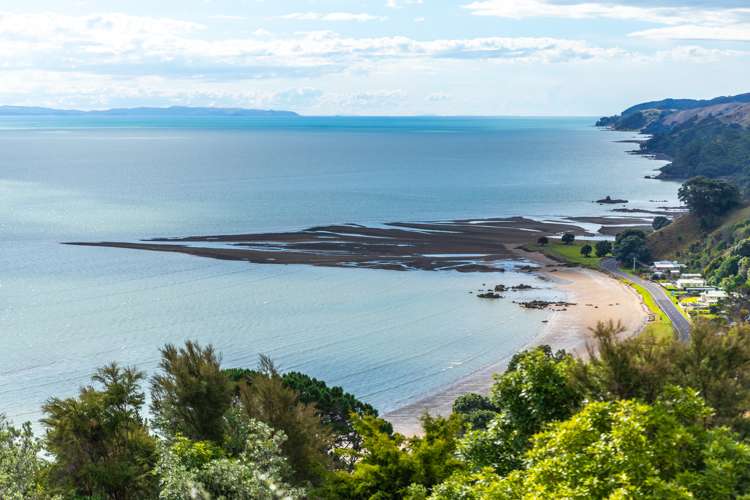 25d Tapu Coroglen Road Tapu_8