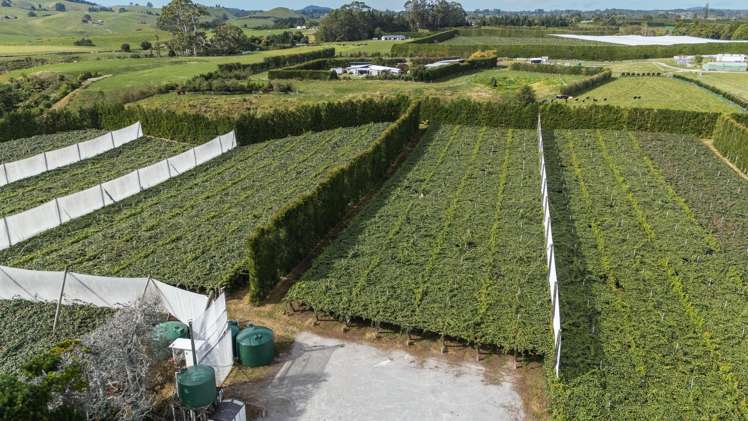 865B Oropi Road Oropi_5