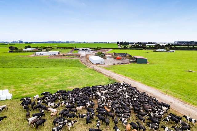 SUPERB PRODUCING DAIRY FARM