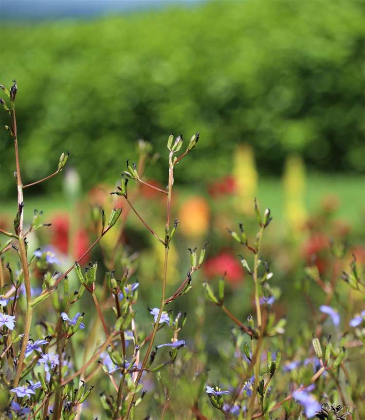 145 Hall Road Rangiriri_45