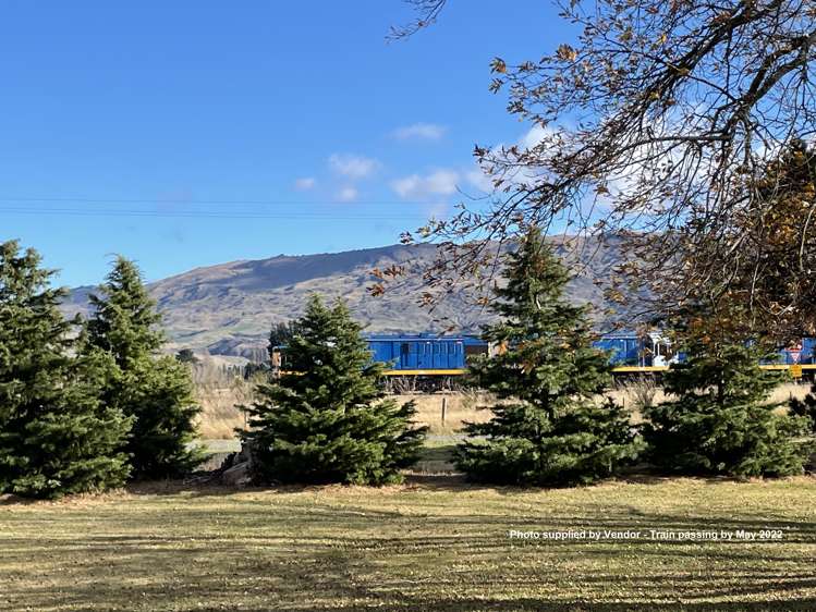 9 Exeter Street Middlemarch_20