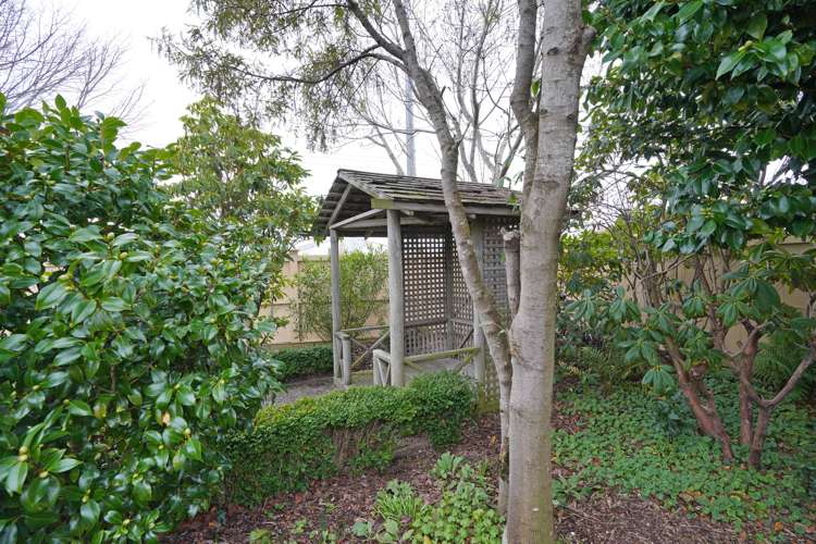 342 Chelmsford Street Waverley_22