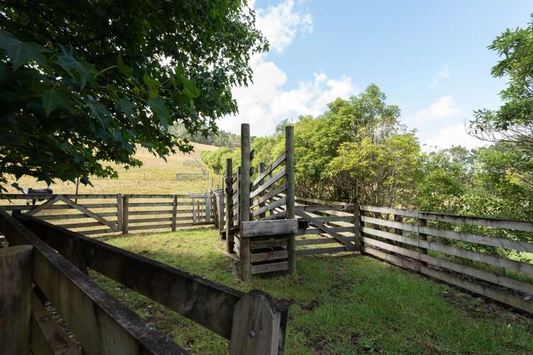 42 Wakelin Road Kerikeri_13