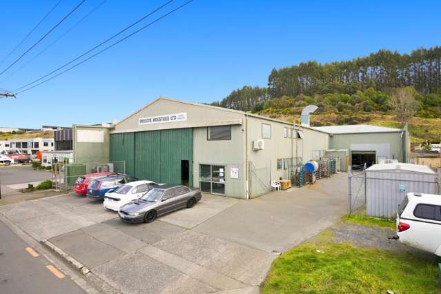 18 Mcnab Street Kenmure_2